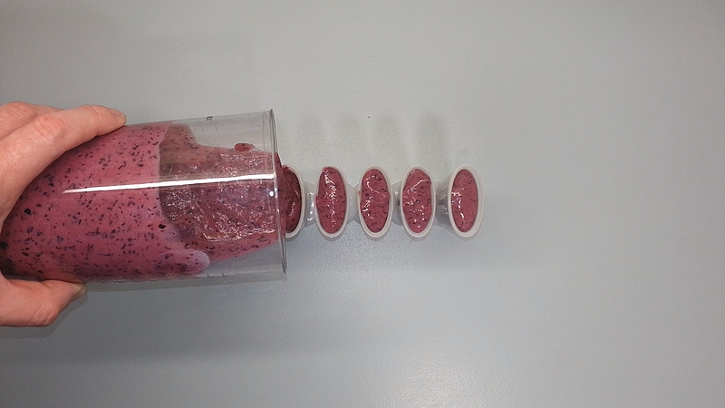 Domácí ovocné nanuky recept